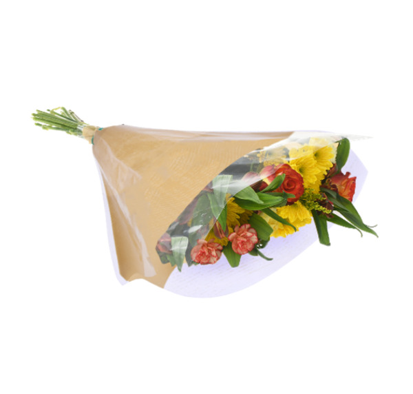 ContentPlus Image 2