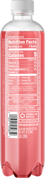 Back of Pack