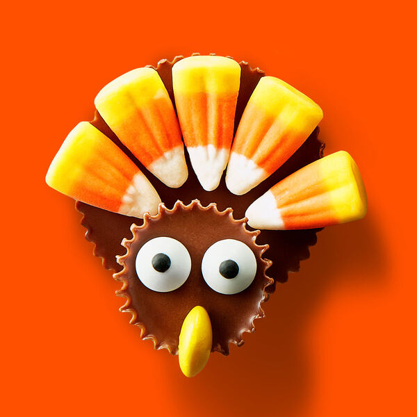 ContentPlus Image 2