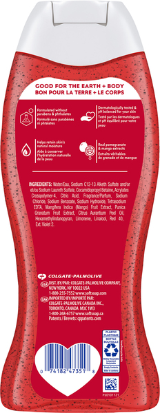 Back of Pack