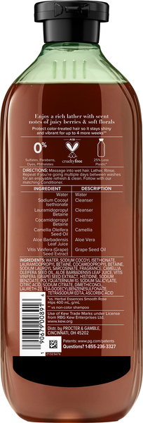 Back of Pack