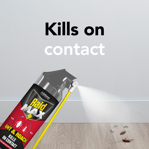 ContentPlus Image 6