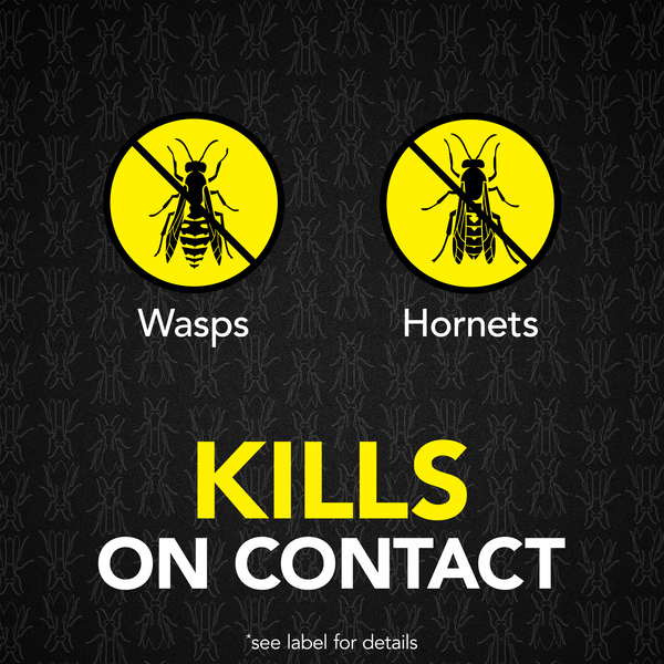ContentPlus Image 1