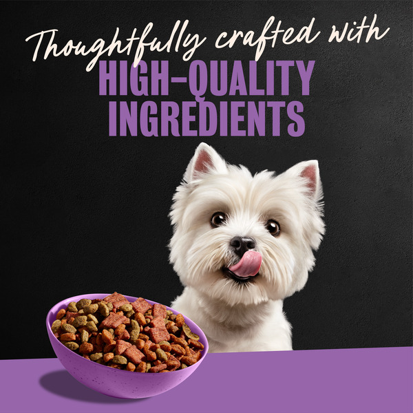ContentPlus Image 5