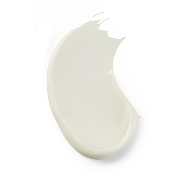 ContentPlus Image 4