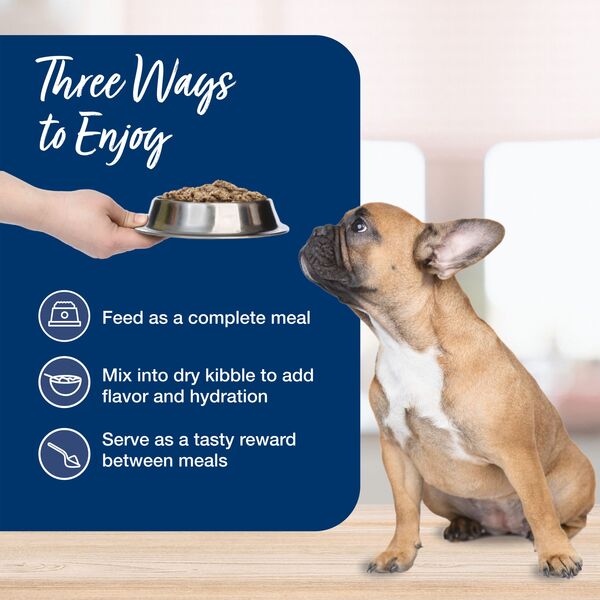 ContentPlus Image 6