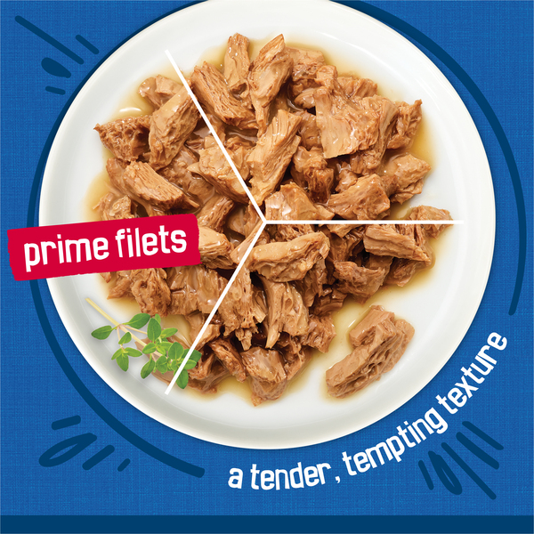 ContentPlus Image 3