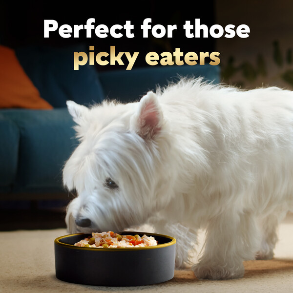 Cesar simply crafted best sale coupon