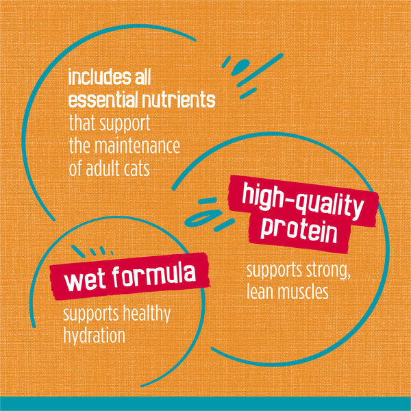 ContentPlus Image 7