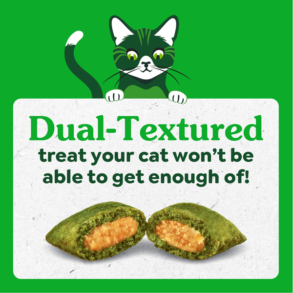 ContentPlus Image 3