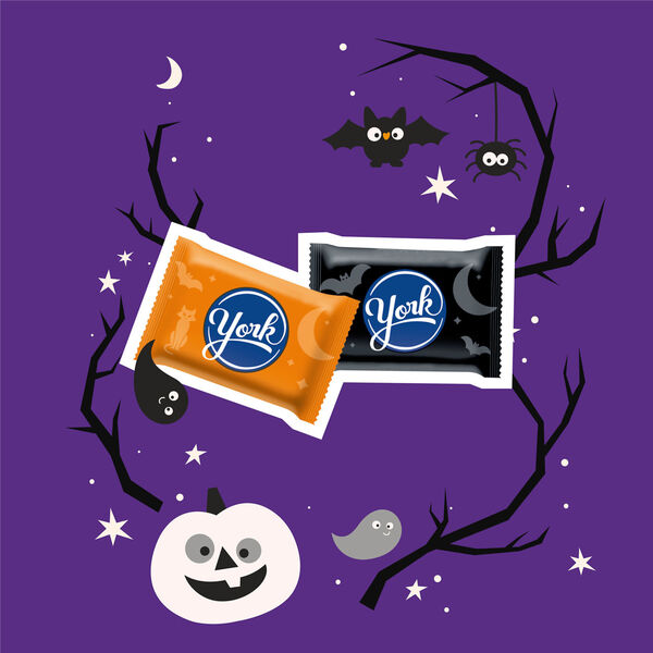 ContentPlus Image 1