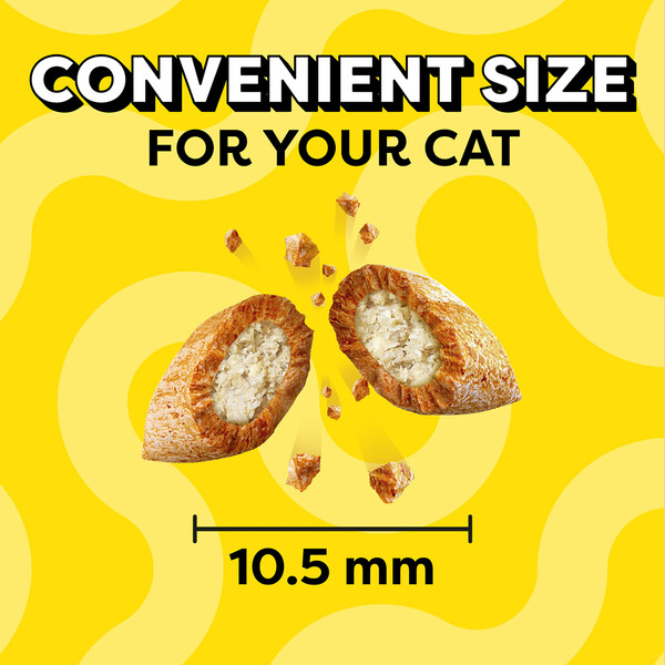 ContentPlus Image 2