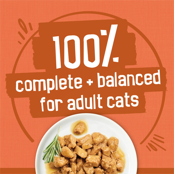 ContentPlus Image 6
