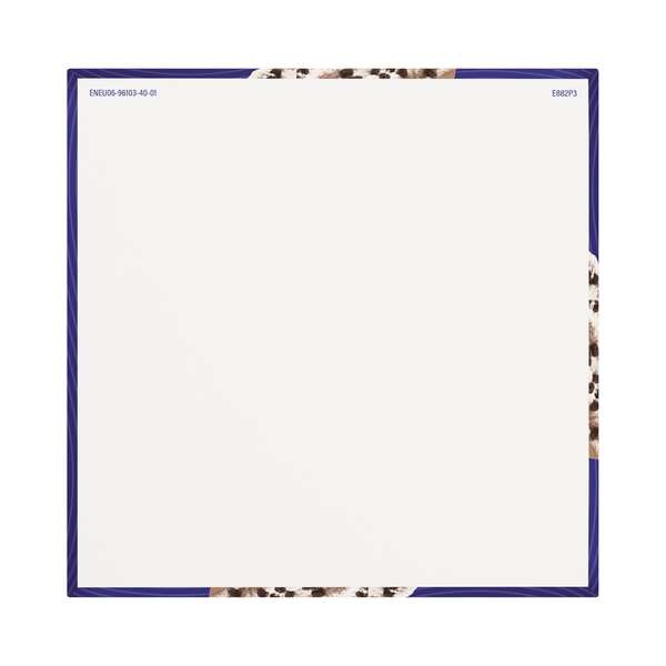 ContentPlus Image 4