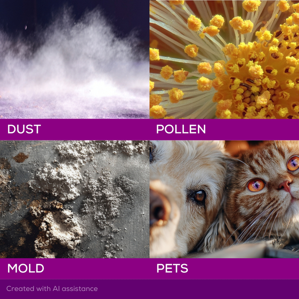 ContentPlus Image 6