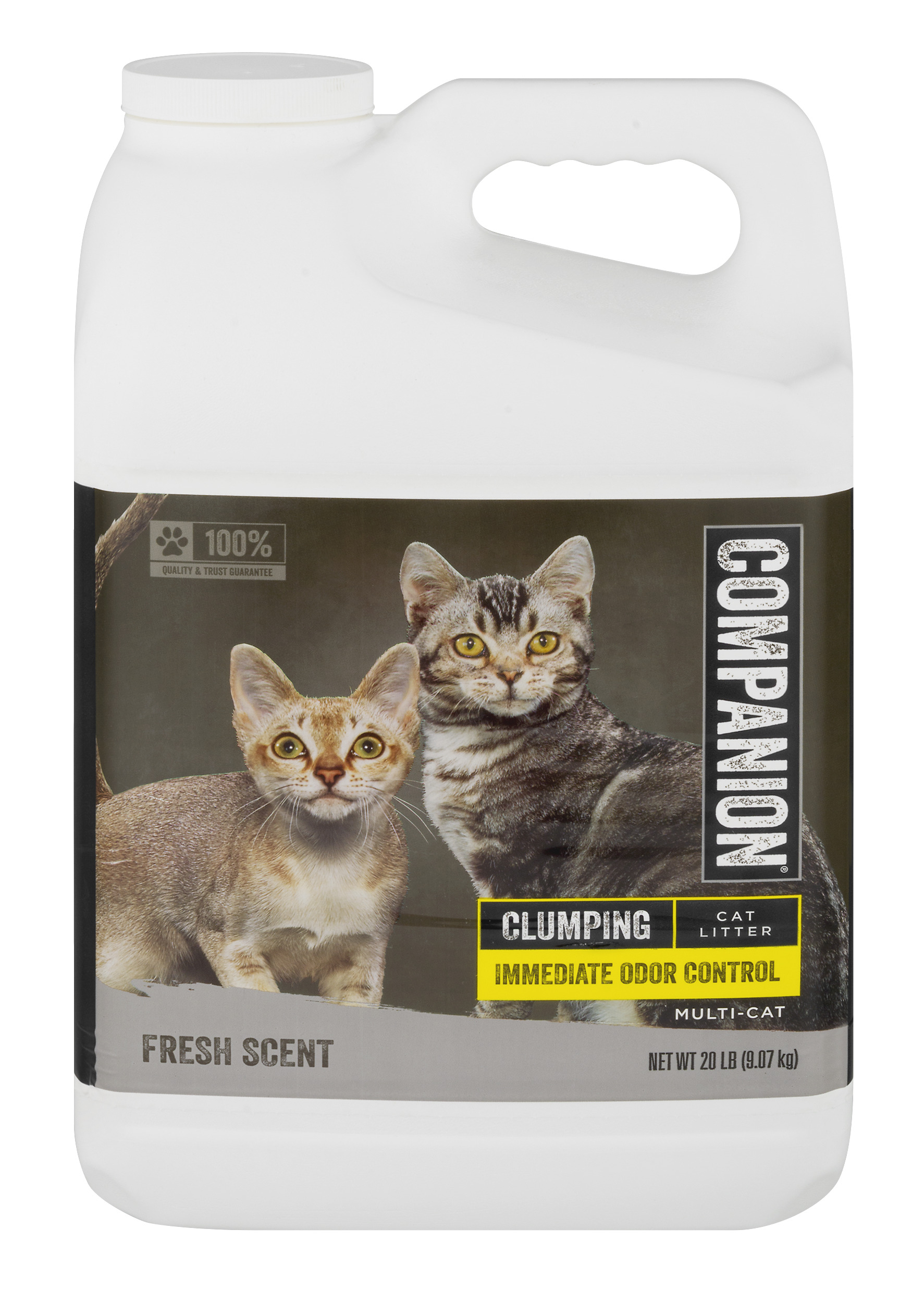 Companion Immediate Odor Control Clumping Cat Litter Fresh Scent